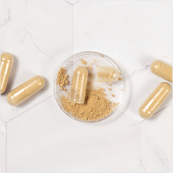 The Science Behind Plant-Based Capsules: Why HPMC is the Gold Standard