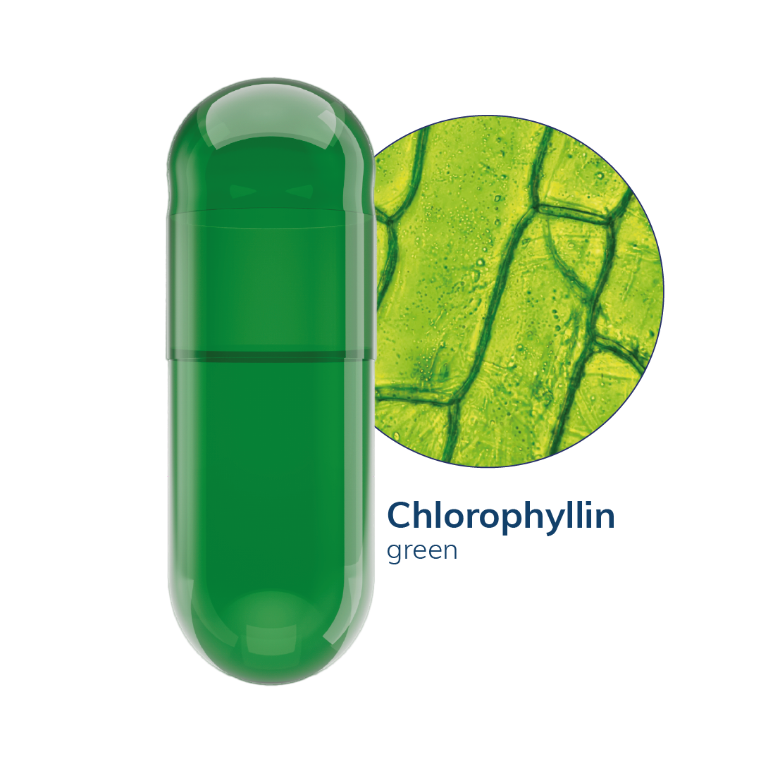 Chlorophyllin Vegetarian Capsules <br> Size 0 - Box of 100,000