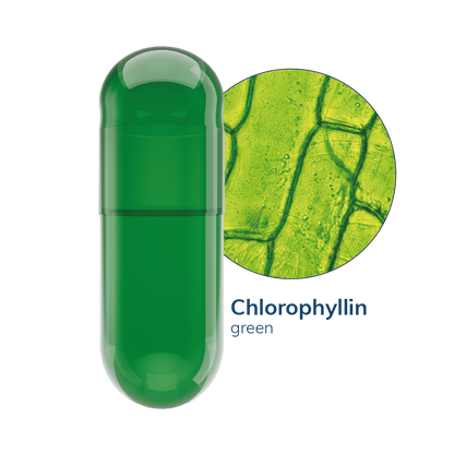 Chlorophyllin Vegetarian Capsules <br> Size 0 - Box of 100,000